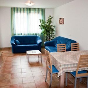 Roza Apartment Novigrad Istria Exterior photo