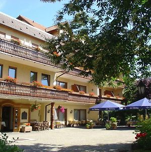 Ringhotel Garni Pflug Oberkirch  Exterior photo