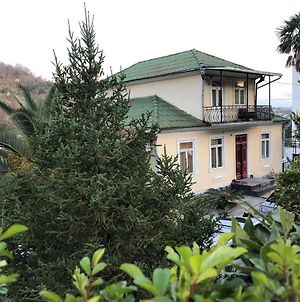 Guest House Lasha Mtsvane Konts'khi Exterior photo