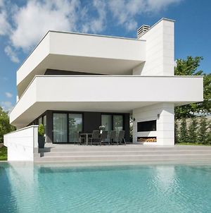 Modern Villa 55 With Pool And Spa Pazin Exterior photo