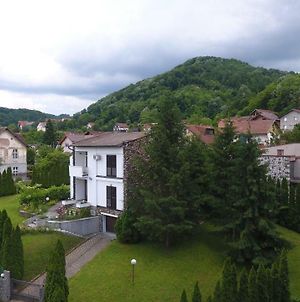Vila Banjska Ruza Βίλα Banja Koviljača Exterior photo