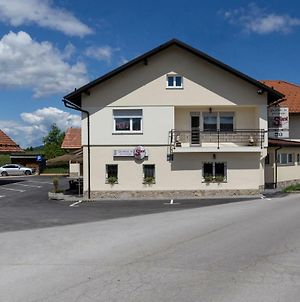 Guesthouse & Apartments Pri Stani Zerovnica Exterior photo