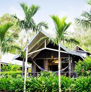 Palm Bungalows Ξενοδοχείο Νήσος Χάμιλτον Exterior photo