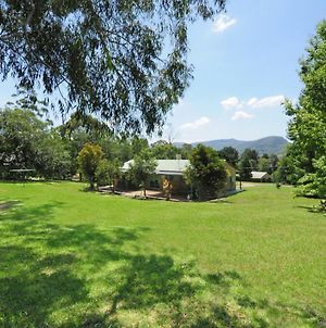 Valley Haven 3 Bedrooms Close To The Village Kangaroo Valley Exterior photo