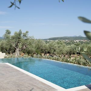 Luxury Villa The Olive Retreat Τραγάνα Exterior photo