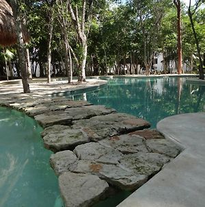 Tropical Paradise Apartment Puerto Morelos Exterior photo