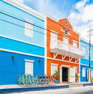 Bed & Bike Curacao Hostel Βίλλεμσταντ Exterior photo