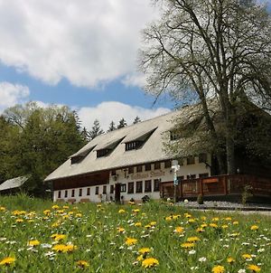 Gasthaus Staude Bed and Breakfast Triberg im Schwarzwald Exterior photo