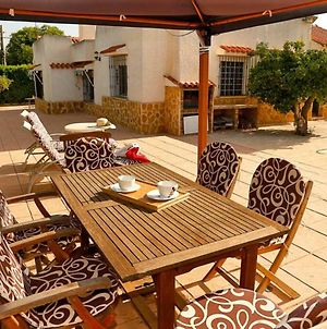 Arenales Great Home With Ac, Pool And Barbecue Arenales del Sol Exterior photo