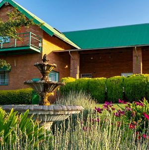 Olive Tree Farm Bed and Breakfast Magaliesburg Exterior photo
