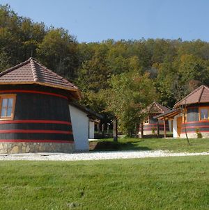 Eko Selo Kostunici Ξενοδοχείο Exterior photo