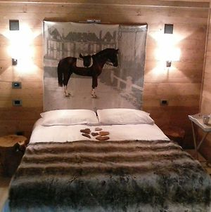 Lthorses & Dreams Bed and Breakfast La Thuile Exterior photo