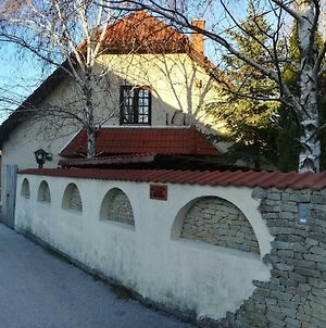 Voros Macska Vendeghaz Ξενοδοχείο Szentkirályszabadja Exterior photo