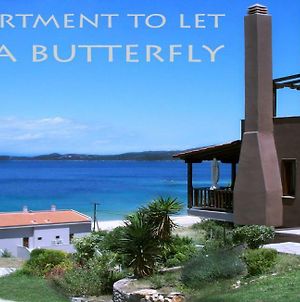Villa Butterfly Νέα Ρόδα Exterior photo