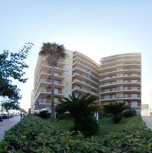 Preciosos Apartamentos Caracola En La Primera Linea De La Playa De Gandía Exterior photo