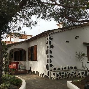 La Casita De Las Palmas Vv Ξενοδοχείο Exterior photo