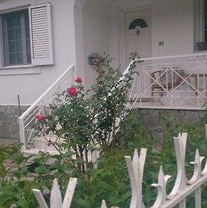 Eleni'S Village Relaxation Home Αιδηψός Exterior photo