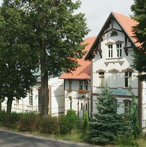 Dom Pod Orlimi Skalami Διαμέρισμα Leśna Exterior photo
