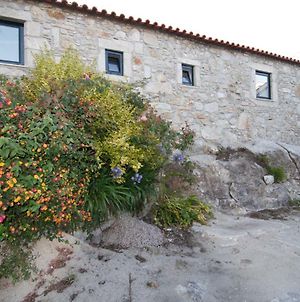 Angelas - Casa Da Galega Βίλα Vila Praia de Âncora Exterior photo