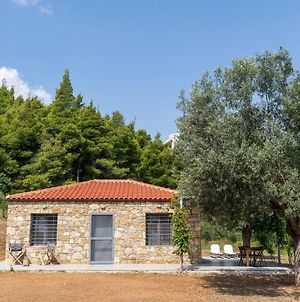 The Ideal Secluded Retreat Βίλα Άγιος Νικόλαος Exterior photo