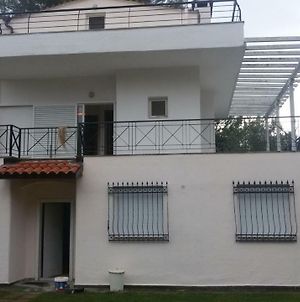Villa Irina Ποσείδι Exterior photo