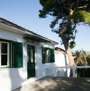 Eleni Villa Φισκάρδο Exterior photo