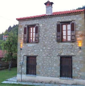 Traditional Stone House Ελάτη Exterior photo