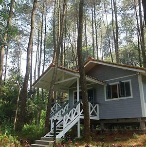 The Pine Forest Villas Puncak Exterior photo