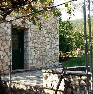The Stone House-Zacharatos Nikolaos Βίλα Πουλάτα Exterior photo
