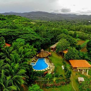 Al Hamra Jungle Resort (Adults Only) Puerto Princesa Exterior photo