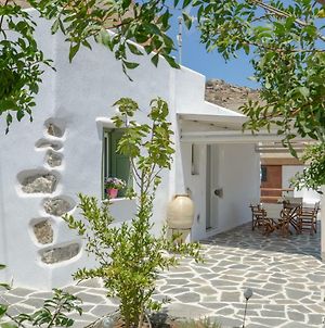 Naxos Traditional House In Galini Βίλα Exterior photo