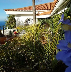 Villa Larnia De Tenerife Sauzal Exterior photo