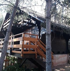 Canon Del Rio Lobos-La Cabana De Ton Βίλα San Leonardo de Yagüe Exterior photo