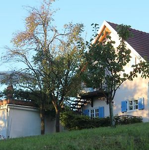 Burgunderhof - Steiermark Βίλα Sankt Anna am Aigen Exterior photo