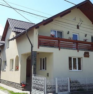 Pensiunea Casa Stet Toader Iulian Săpînţa Exterior photo
