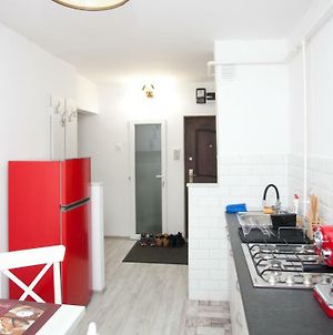 Apartament Elena Διαμέρισμα Târgu-Mureş Exterior photo
