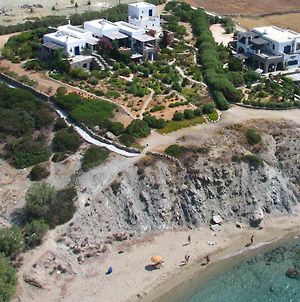 Villa Sophia Paros - Beachfront Villa Δρυός Exterior photo