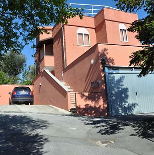 Villa Paolina Ceriale - App. 4 Posti Exterior photo