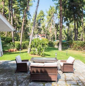 Evergreen Villa In Sani Woodland Estate Παραλία Σάνη Exterior photo