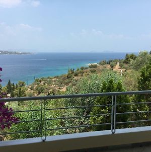 Lovely Flat With Amazing View Διαμέρισμα Σπέτσες Exterior photo