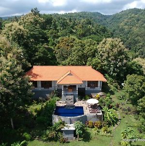 Villa Tanjung Lovina Exterior photo