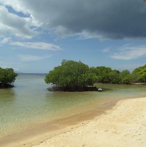 Mangrove Paradise Retreat Ξενοδοχείο Lembongan Exterior photo