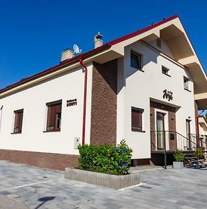 Arya Vila Διαμέρισμα Πιεστάνυ Exterior photo