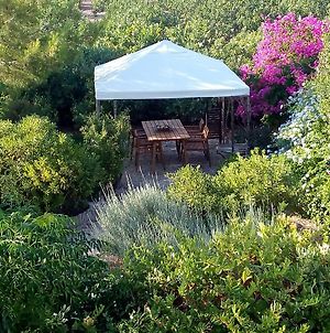 Aegina'S Oasis Βίλα Exterior photo