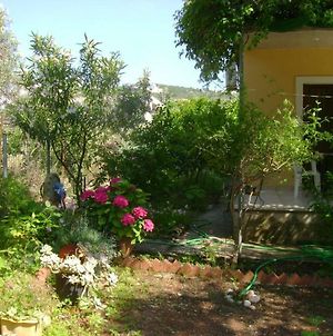 Lefkas House With Garden Βίλα Τσουκαλάδες Exterior photo
