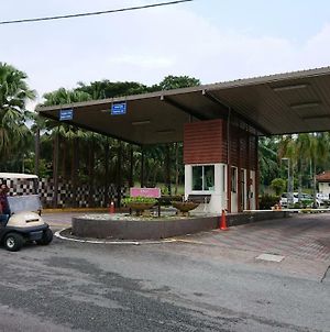 Homestay Bandar Putra Kulai Exterior photo