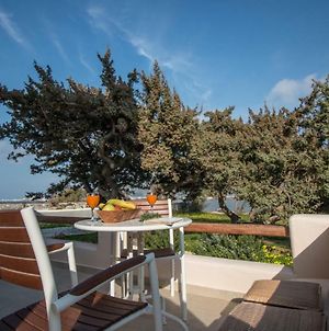 Naxos Gratsias Retreats - Seaview Luxury Escape Στελίδα Exterior photo