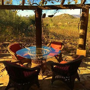 Casa Nativo - The Heart Of The Vineyard Βίλα Valle de Guadalupe Exterior photo
