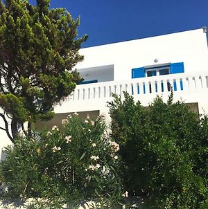 Cozy & Comfy Apt With Sea View In Chora Andros Διαμέρισμα Exterior photo
