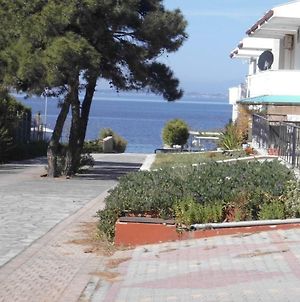 Dafni'S Home 50 Meters From The Beach Γερακινή Exterior photo